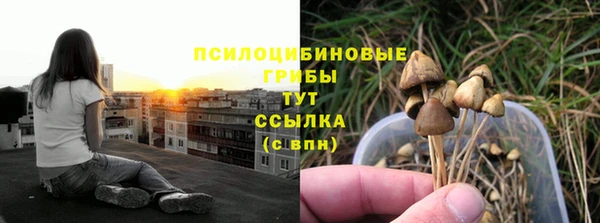 прущая мука Богданович