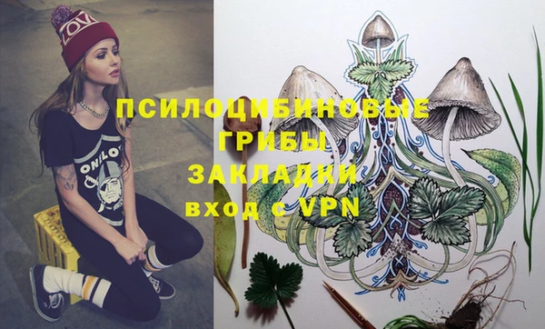 каннабис Богородицк