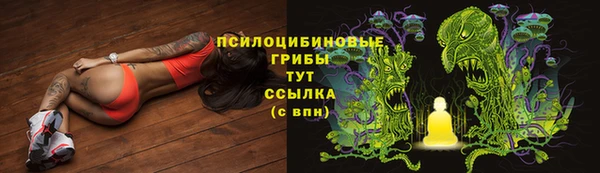каннабис Богородицк