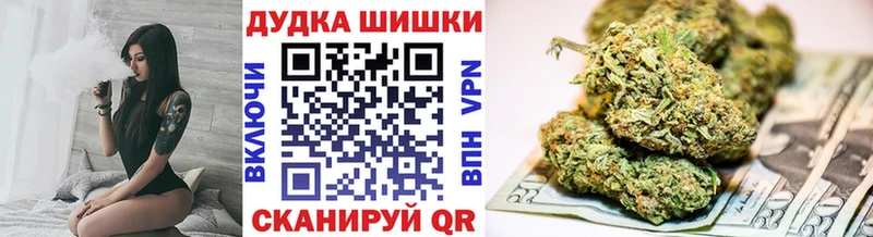 Бошки марихуана гибрид  продажа наркотиков  Невель 